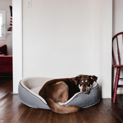 andrew-neel-gOj023vV8CQ-unsplash(1)